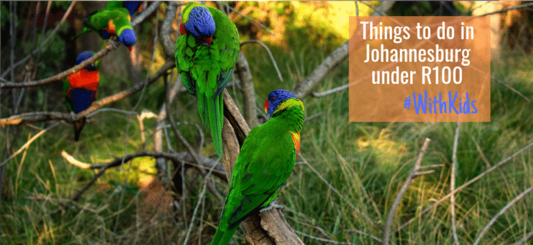 things to do with kids in johannesburg under R200