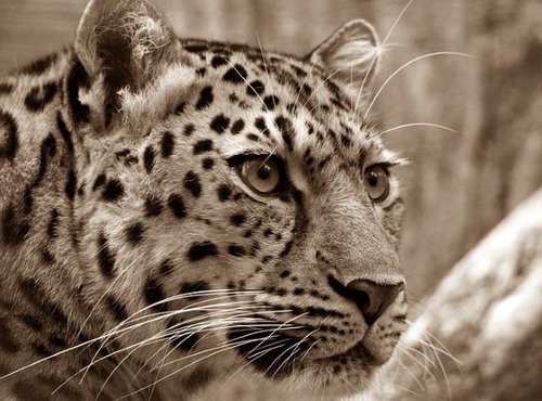 Lori Park Zoo