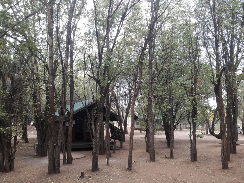 Kruger_National_Park