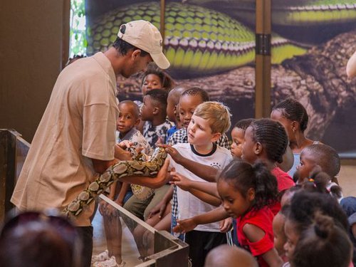 Le_Bonheur_Crocodile_Farm_Paarl