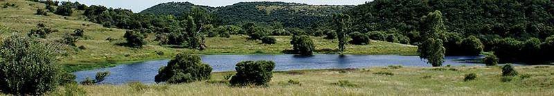 7_dams.