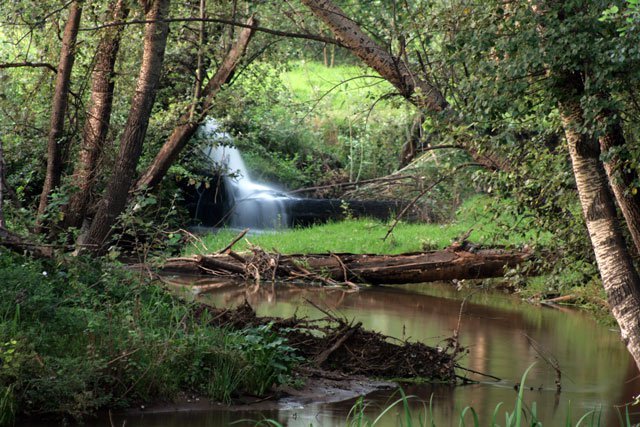 BroowoodEstate_Trout_Farm