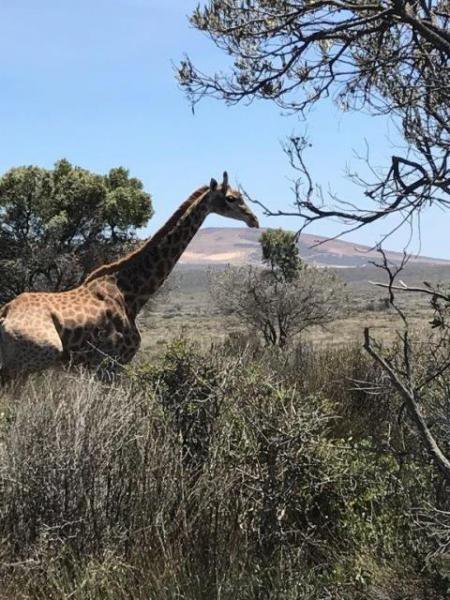 Buffelsfontein_Game_And_Nature_Reserve
