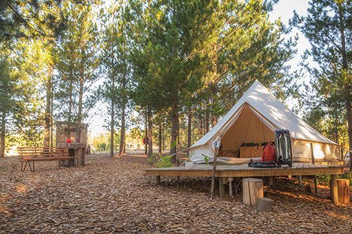 Groenrug_Estate_Cherry_Glamping