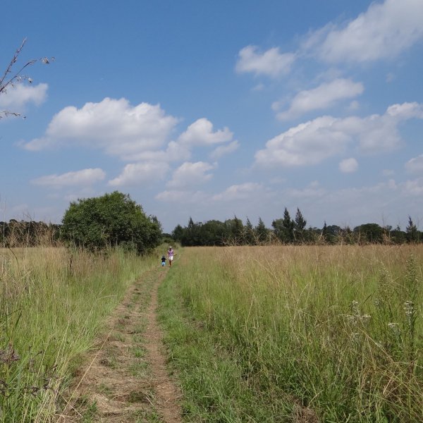 Rosemary_Hill_Trails_Pretoria