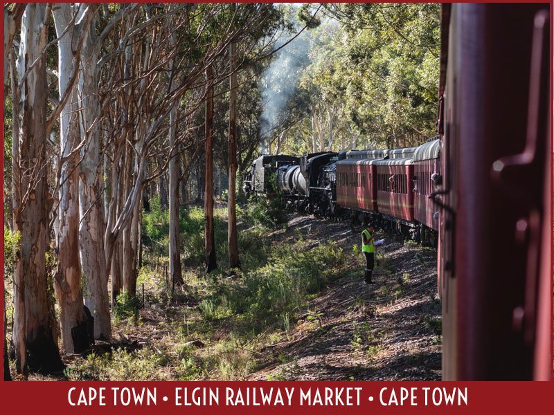 ELGIN_train