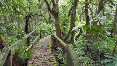 Glenholme_nature_reserve
