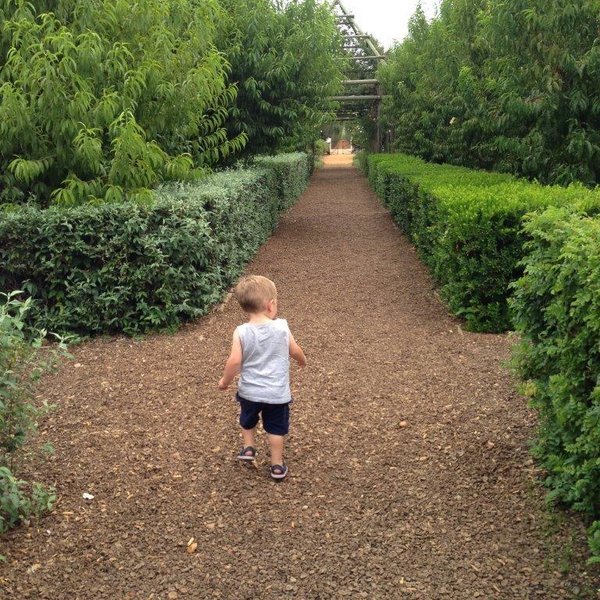 Babylonstoren