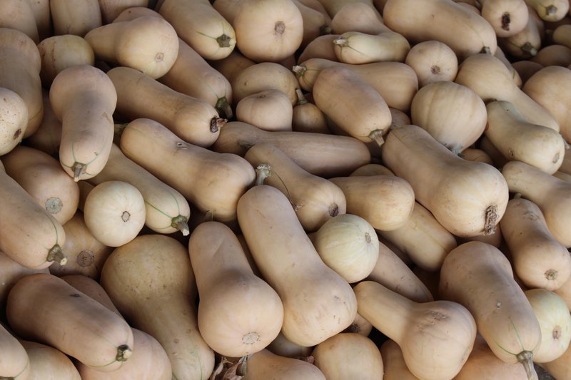 Pumpkins_At_Farmers_Market_Gauteng