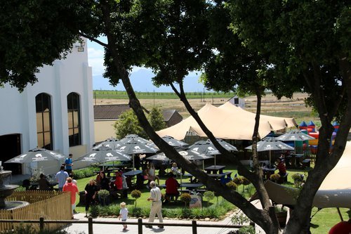 Perdeberg_Winery_Paarl _Cape Winelands