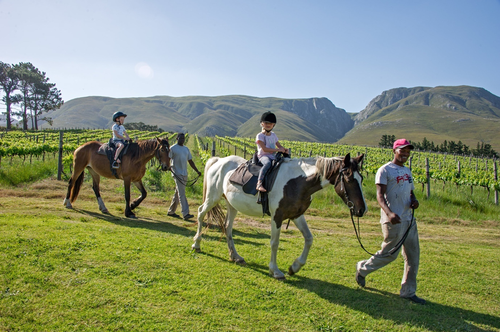 Stanford_Hills_Estate_HorseRiding_Overberg