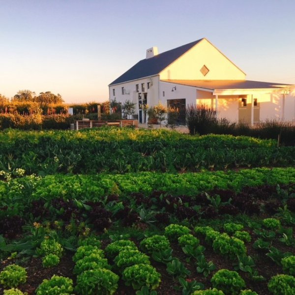 Terra_Madre_Farm