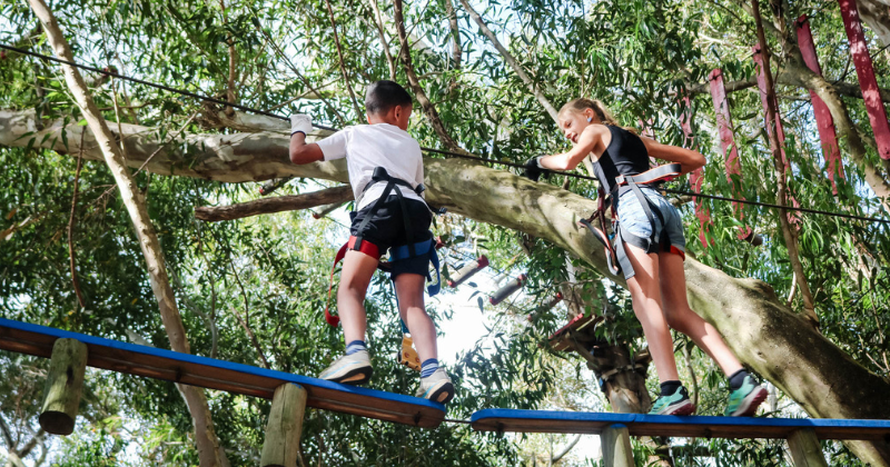 Acrobranch_Stellenbosch