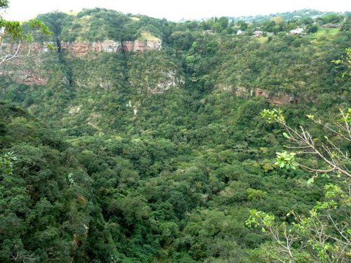 Valleibodem_Krantzkloof_Natuurreservaat