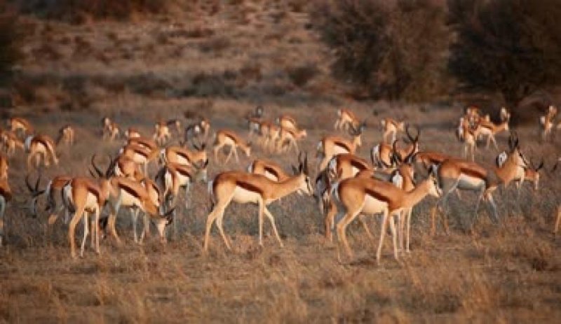 West_Coast_National_Park