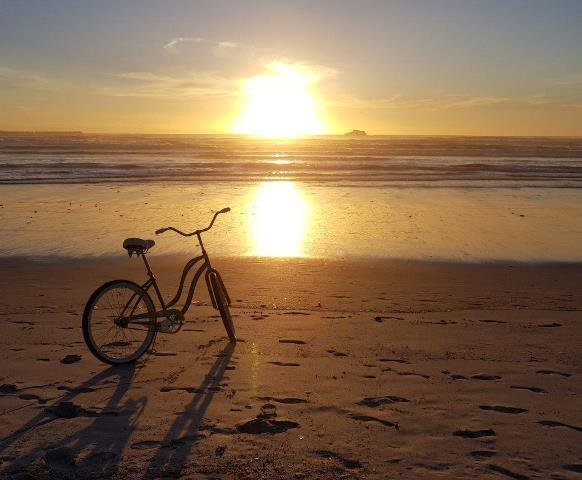 West_Coast_Explorers_Club_Bicycle rentals
