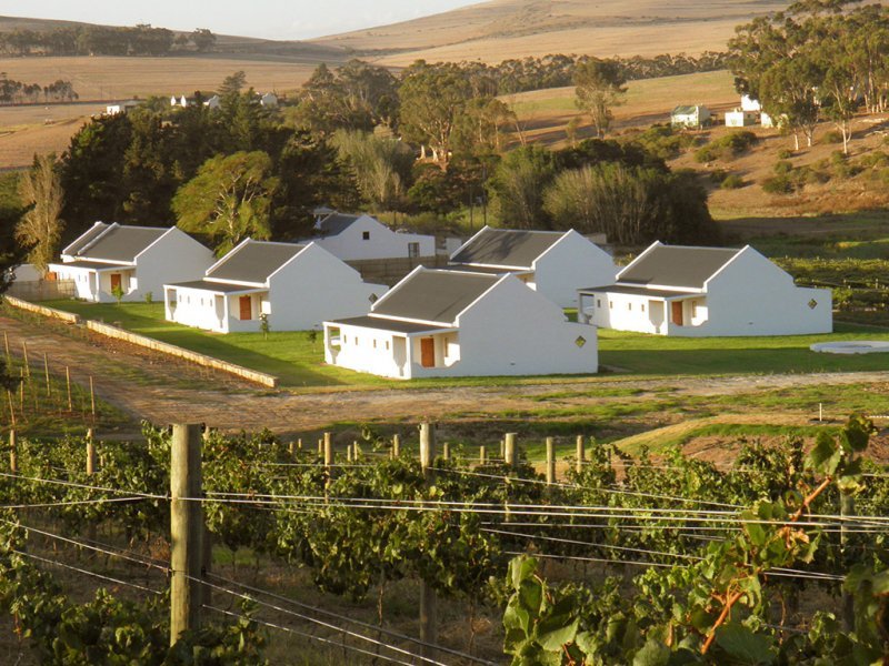 Wildekrans_Wine_Estate