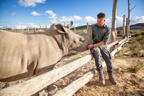 Aquila game reserve and lodge