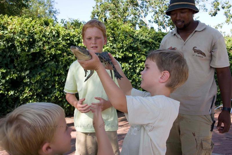 Crocodil_eFarm
