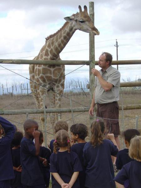 Main_Giraffe_House