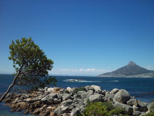 Oudekraal_Llandudno_Camps_Bay