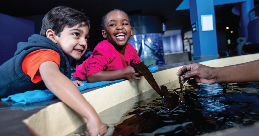 Summer2024_CapeTown_Aquarium
